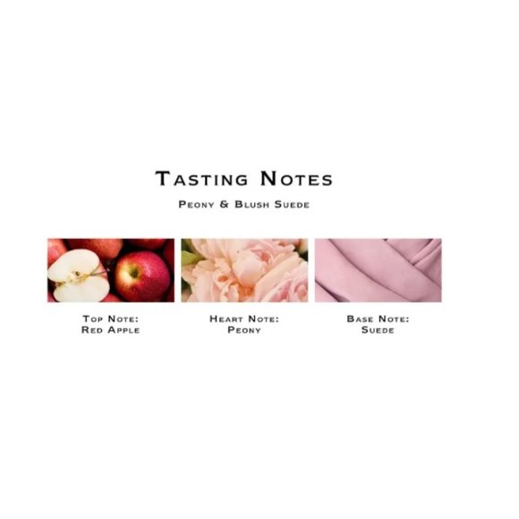 Jo Malone Peony Blush Suede Cream + Wood Sage Sea Salt Body Wash Set, 2pc, NEW - Picture 7 of 10